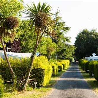 grassy pitch in Campsite de la plage in Benodet