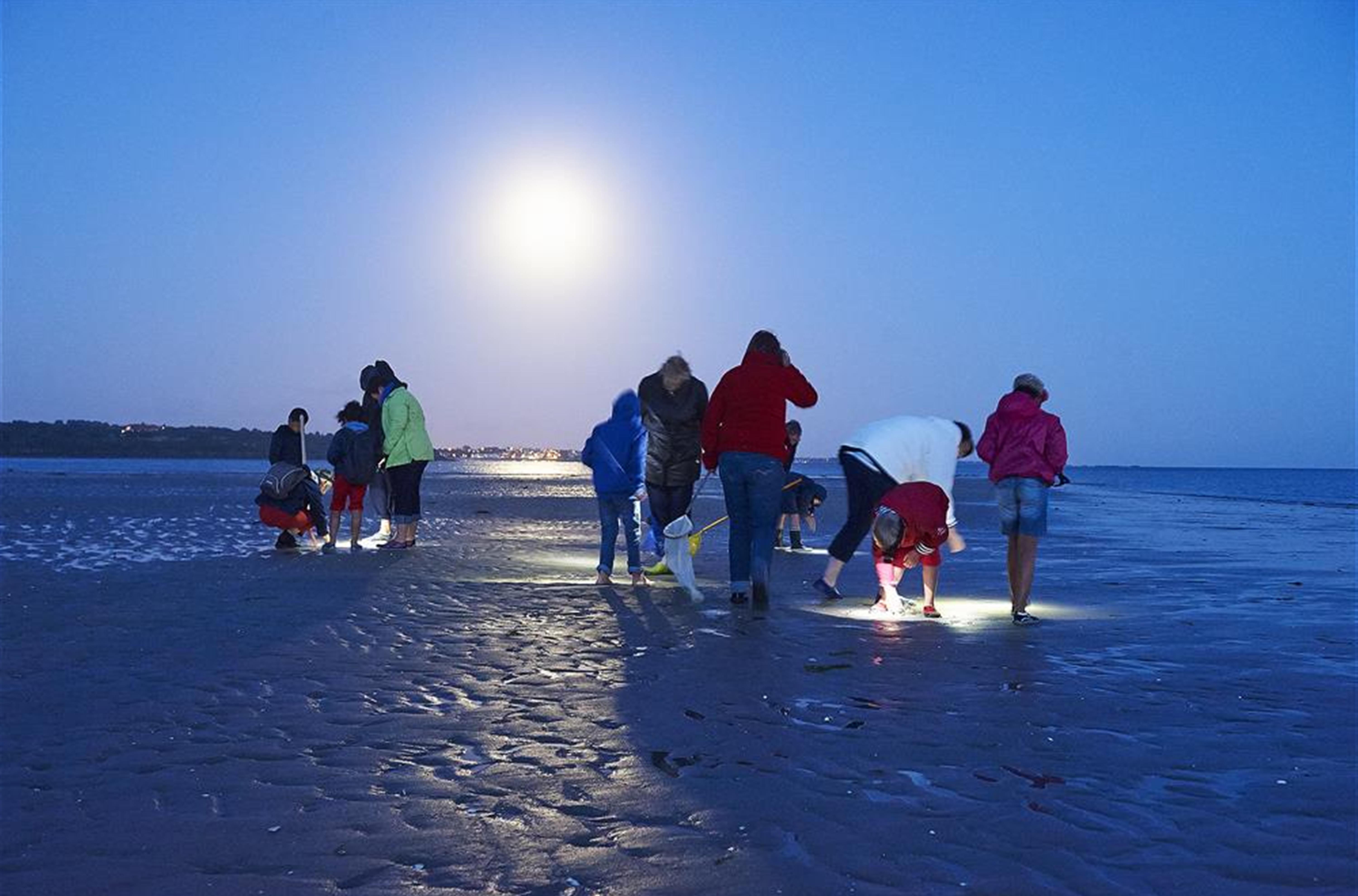 Camping la plage Benodet